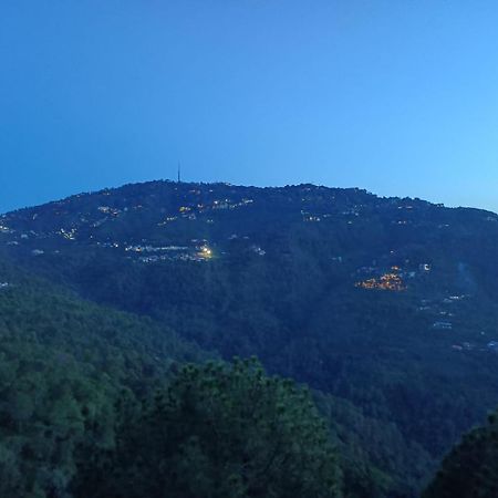 The Summer House Kasauli I Party & Music I Sky Bonfire I Managed By Exotic Stays Eksteriør billede