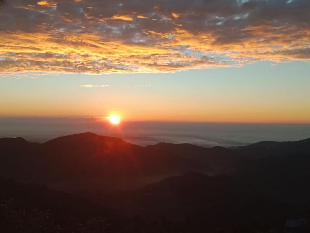 The Summer House Kasauli I Party & Music I Sky Bonfire I Managed By Exotic Stays Eksteriør billede